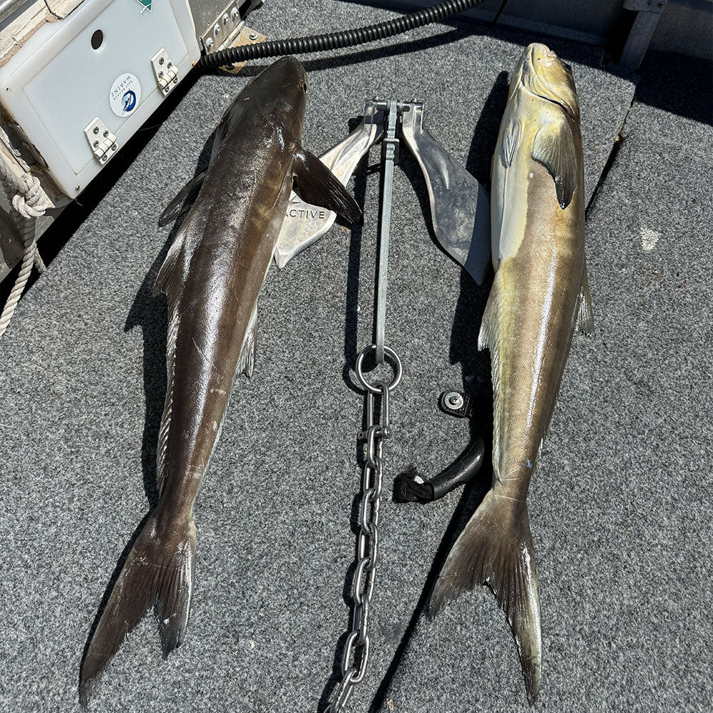 ACTIVE DF400 - Anchor for fishing boats & runabouts 4-6.5 Metres (14-22') in length