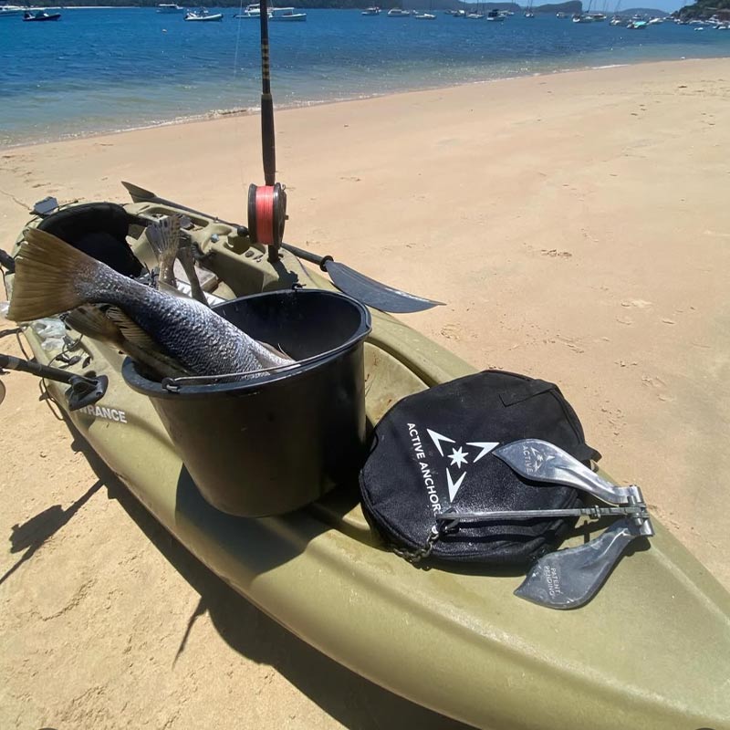 ACTIVE DF200 - Anchor for Kayaks, Jet Skis or Tenders up to 3.5 Metres (12') in length