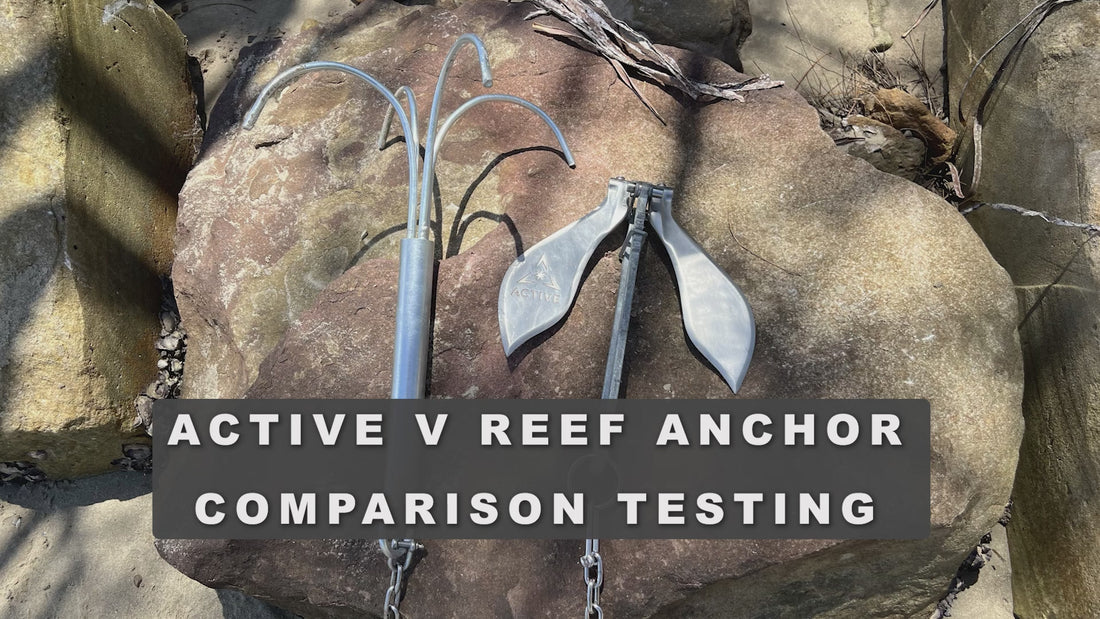 active anchor and reef anchor comparison test
