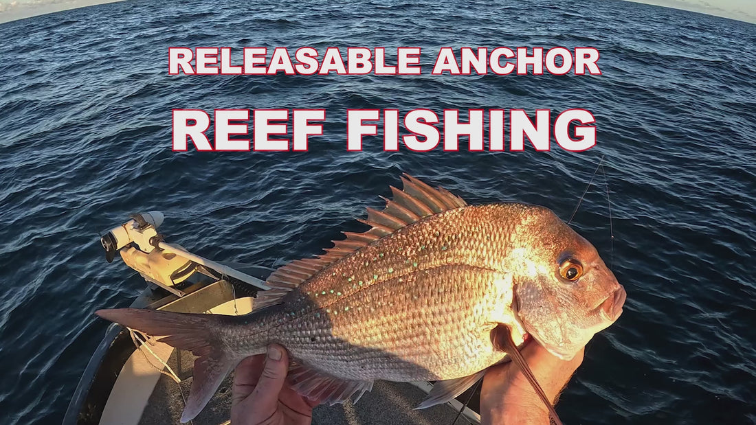 Active releasable anchor reef fishing video